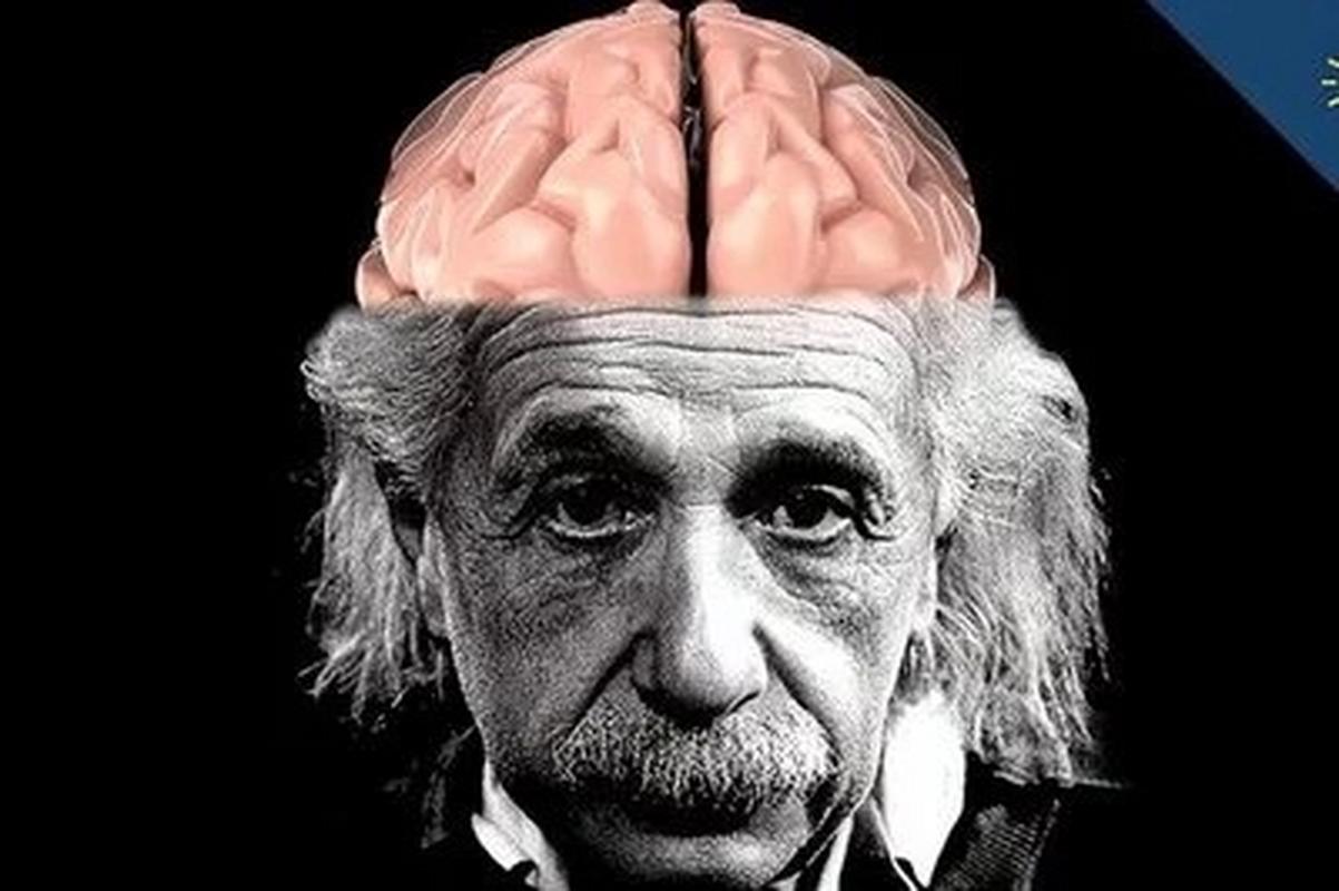 爱因斯坦大脑的相关图片